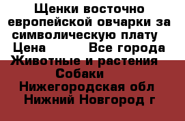 Щенки восточно европейской овчарки за символическую плату › Цена ­ 250 - Все города Животные и растения » Собаки   . Нижегородская обл.,Нижний Новгород г.